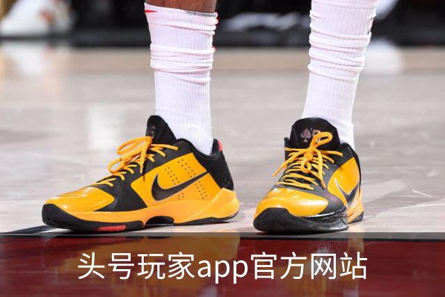 头号玩家app官方网站公司简介配图